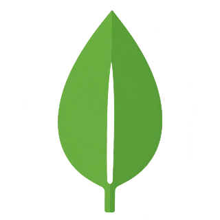 MongoDB